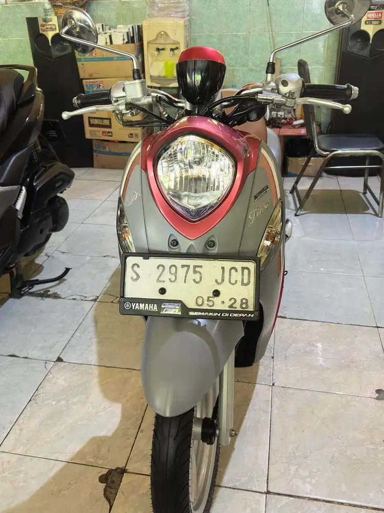 Fino premium 2023