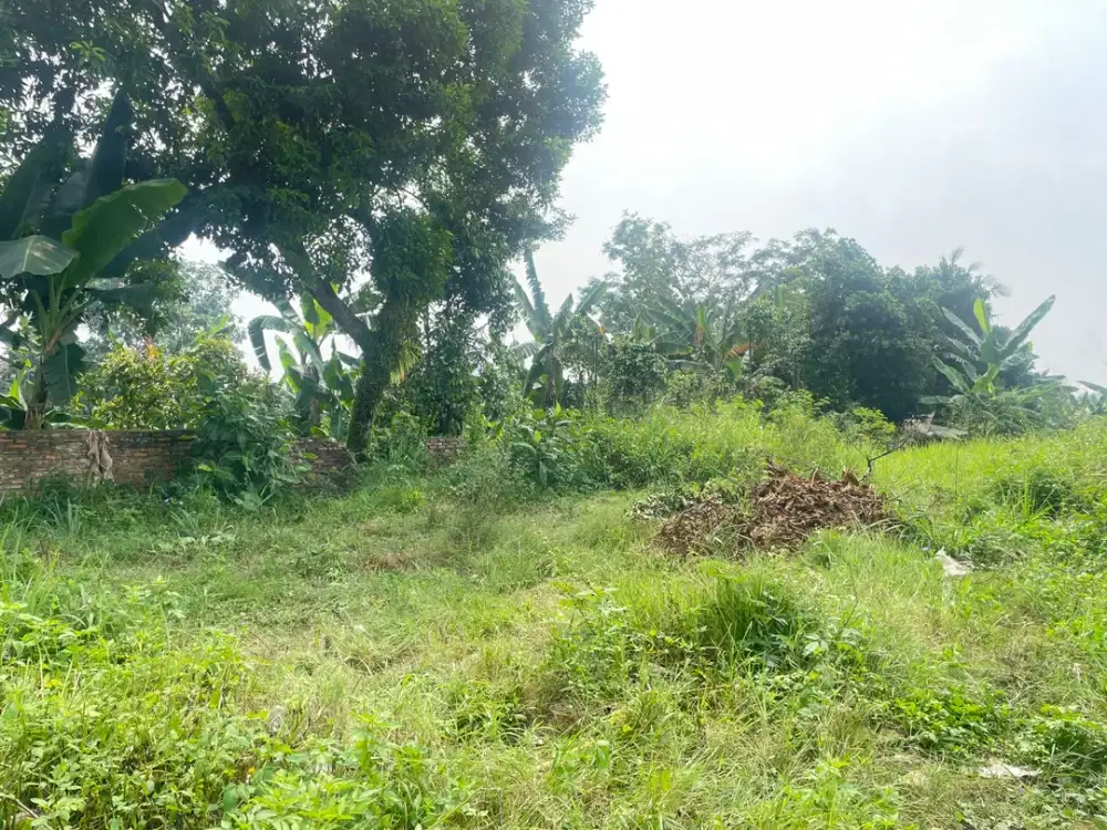 Kavling Murah Strategis Dekat Pintu Tol Kayu Manis