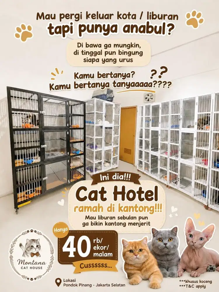 Penitipan Kucing / Cat Hotel