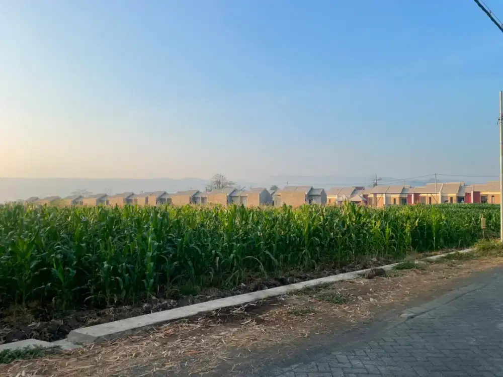Dijual Tanah Strategis Kawasan Berkembang di Purwosari Pasuruan