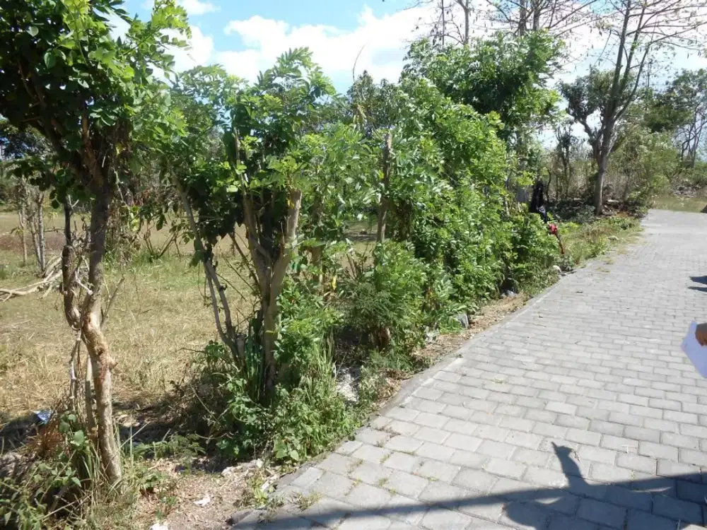 MURAH! Tanah 9,9 Are View Patung GWK Dekat Jl Bali Cliff Ungasan