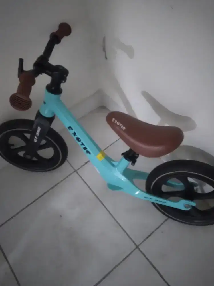 sepeda balance anak anak