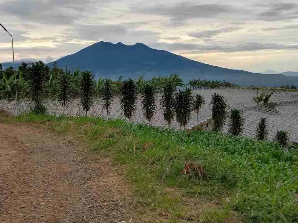 Jual Lokasi Sejuk Pancawati Buat Villa di bogor selatan