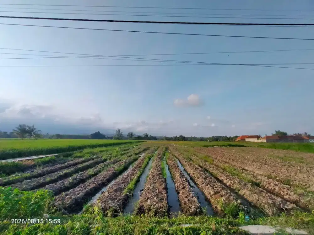 DIJUAL TANAH STRATEGIS LABANASEM, KABAT-BANYUWANGI