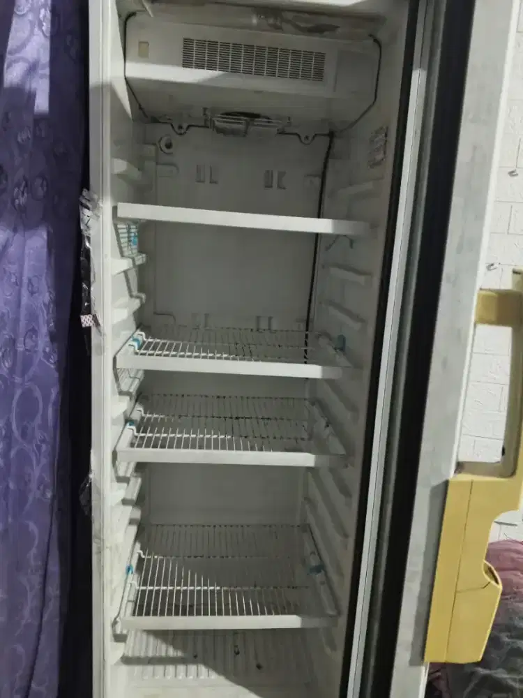 Showcase Polytron
