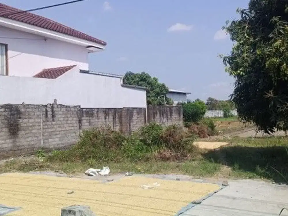 Tanah Sawah Luas 1344 Meter Persegi Lokasi Strategis di Berbah - Sleman
