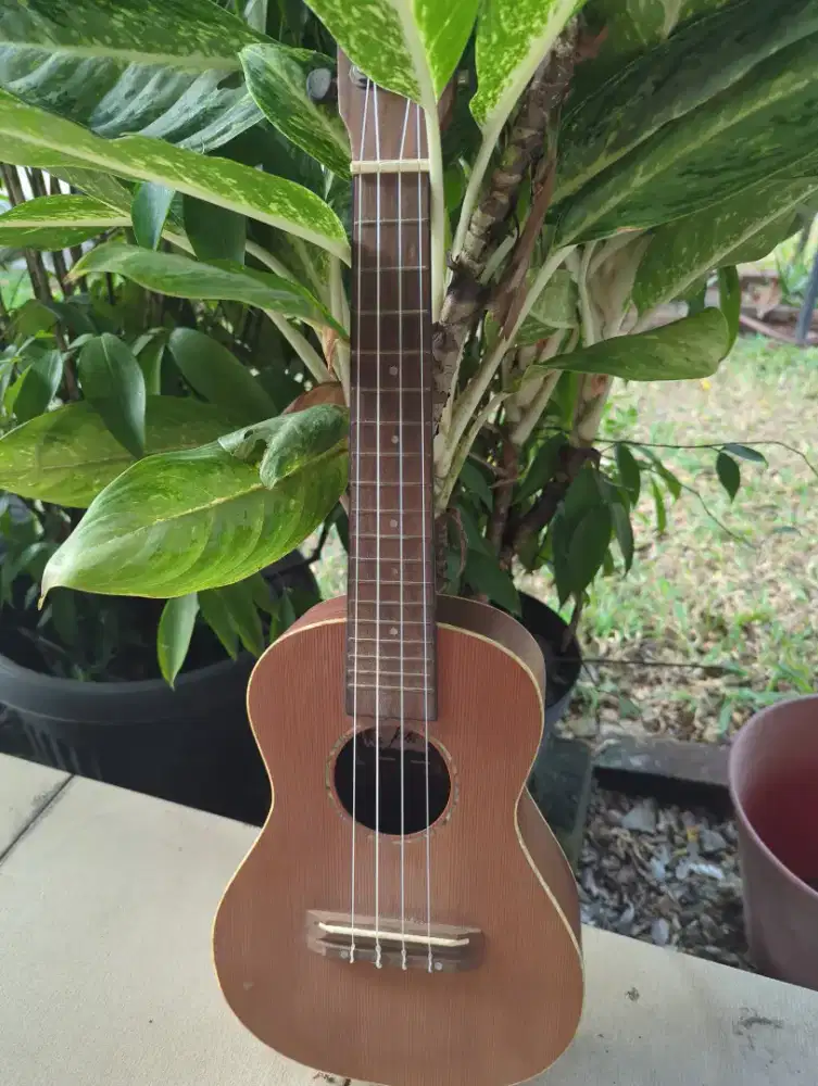 [For Sale] Thailand's Ukulele (Tom)