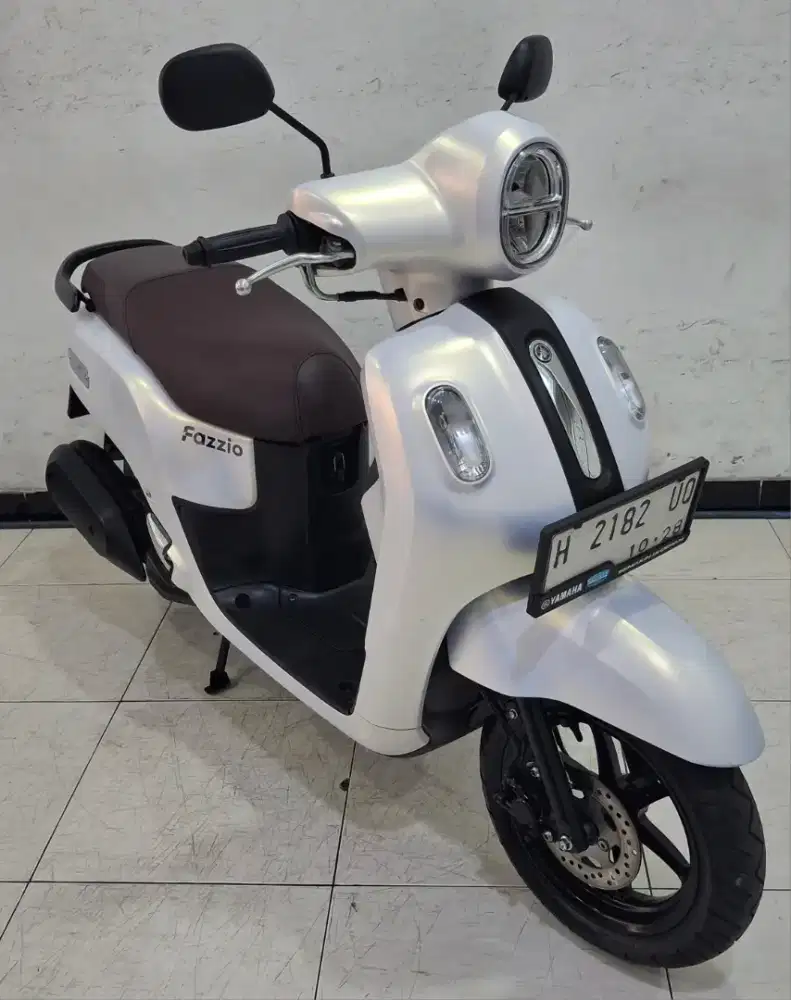 Fazzio Lux Tahun 2023