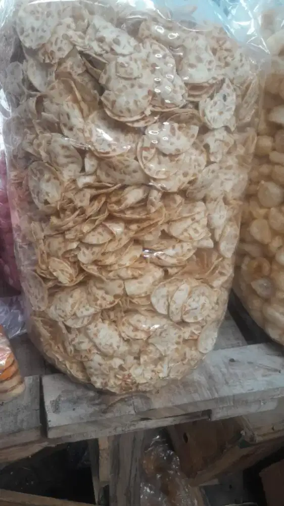 kerupuk tempe rapuh
