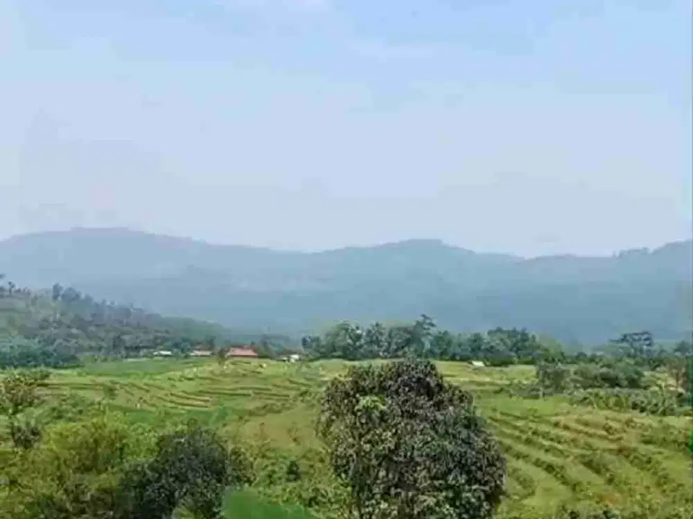 Lahan Murah buat Villa kebun & pertanian  view cantik di bogor timur