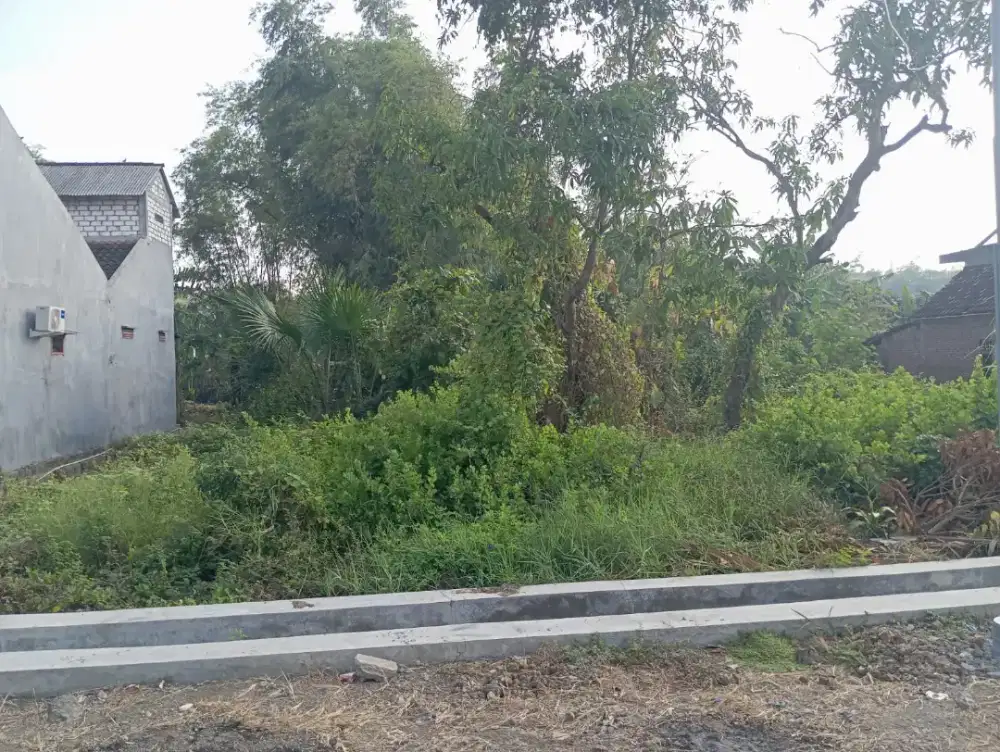 DIJUAL TANAH PEKARANGAN TANPA PERANTARA