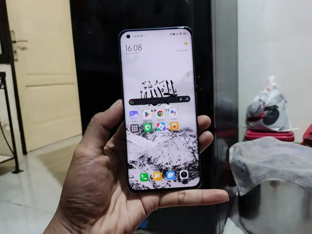 xiaomi Mi 11 flagship 256