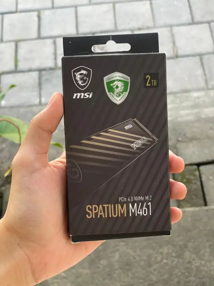 SSD Nvme 2TB Spatium m461