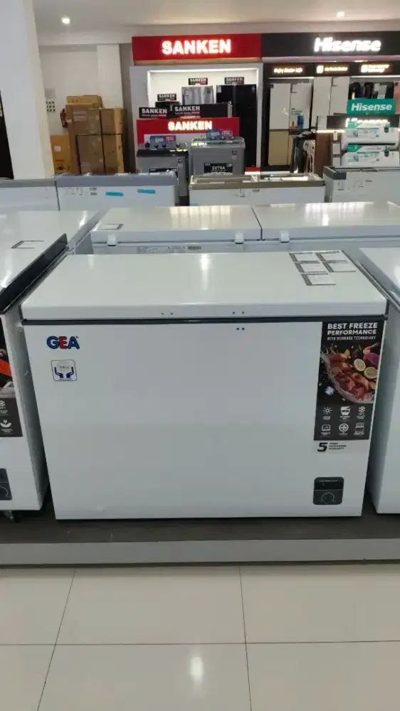 Freezer Box GEA AB-318R