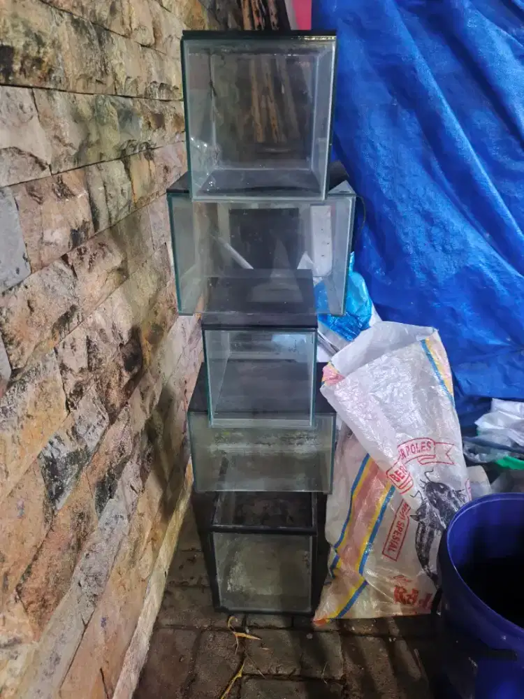Aquarium / akuarium ukuran 30x20x20