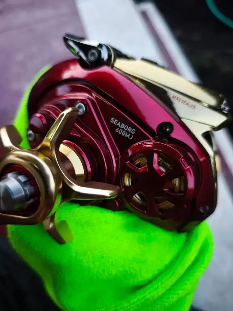 Daiwa seaborg 600mj