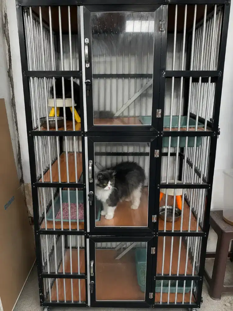 KANDANG KUCING ALMINI