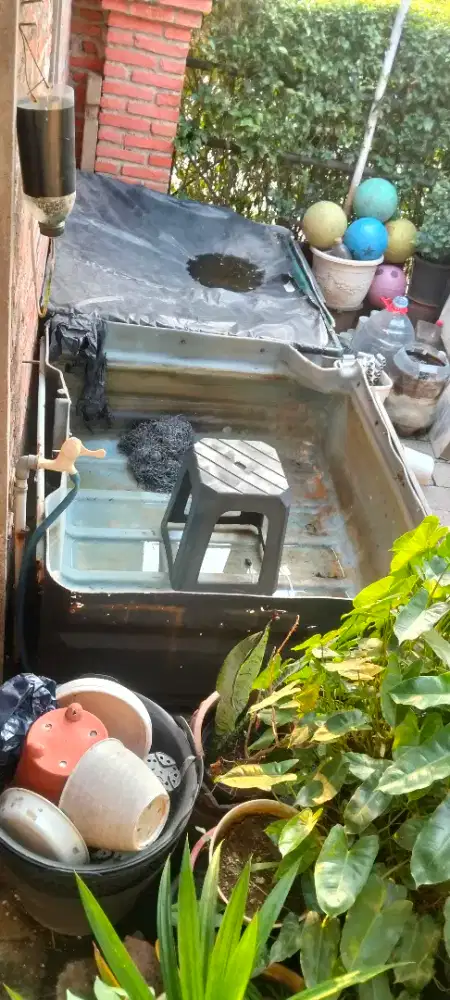 Kolam ikan dr IBC tank bekas