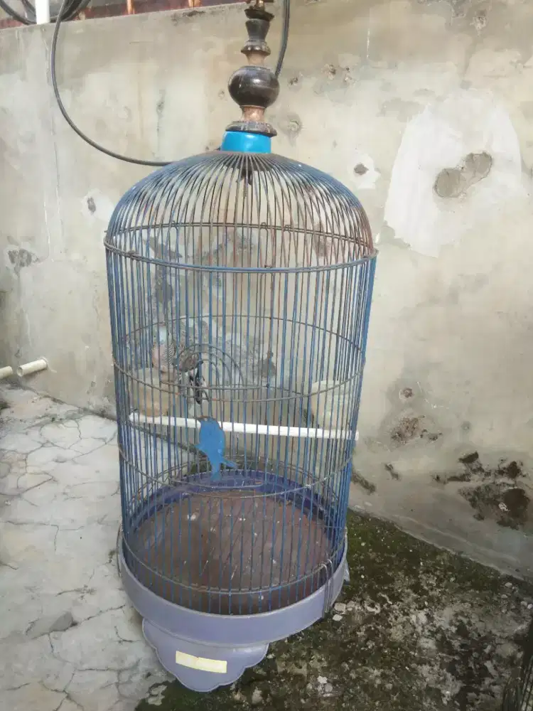 Kandang kapsul besi bulat