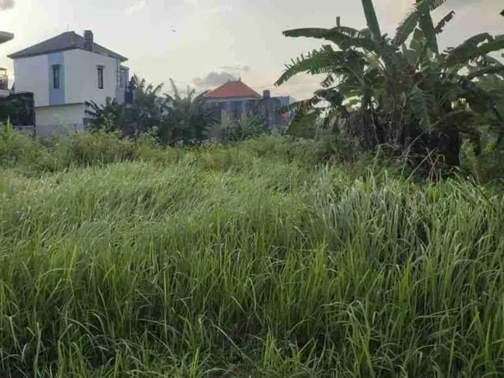 Di jual tanah jalan sedap malam ,Kesiman ,Denpasar , Bali