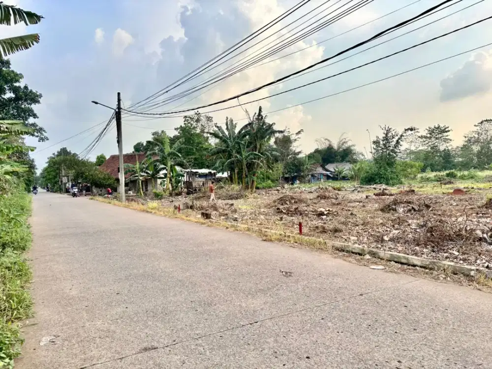 Tanah Murah SHM Cisauk Dekat Stasiun Jatake BSD, Bisa Cicil 12x