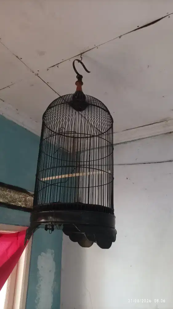 Kandang kapsul masih bagus besi tebel