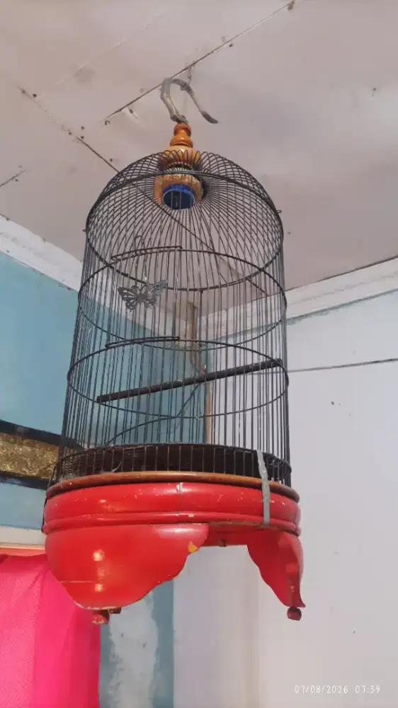 Kandang tebok kayu jati