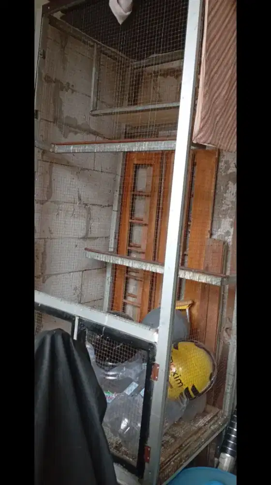 Dijual.sangkar burung murai batu