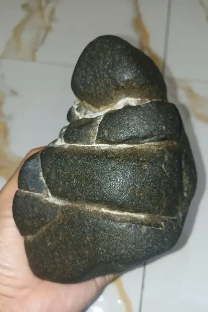 BADAR BESI (Seiseki)