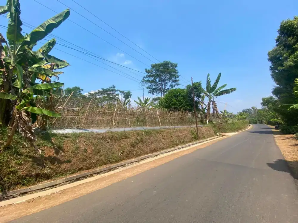 Dijual Murah Tanah Datar Pinggir Jalan Raya di Bojong Purwakarta