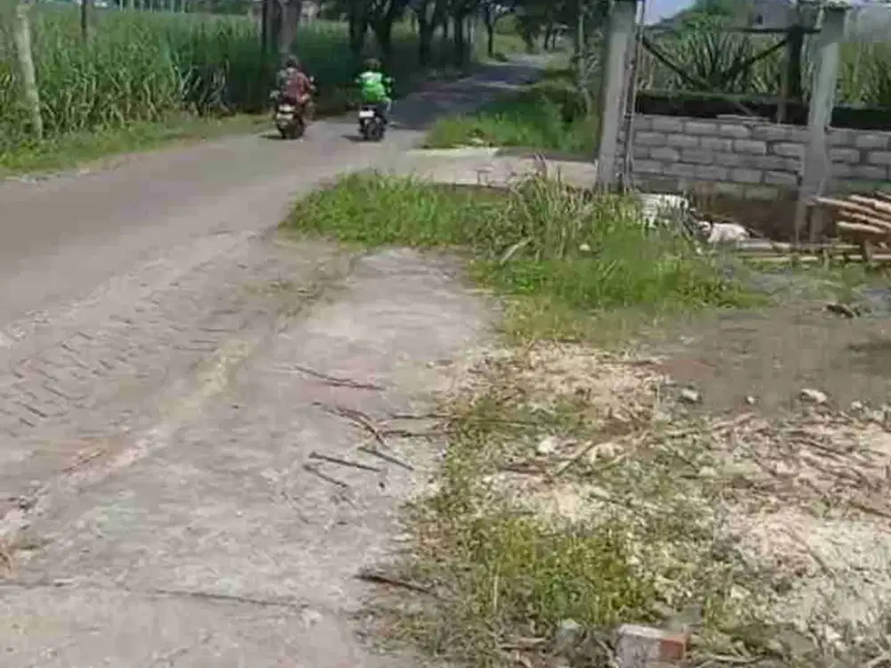 Tanah Kepanjen Blobo Malang