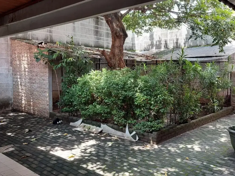 Rumah Jl. Diponegoro , Hadap Timur , Row Jalan 55 Mtr (0 Raya Diponegoro)