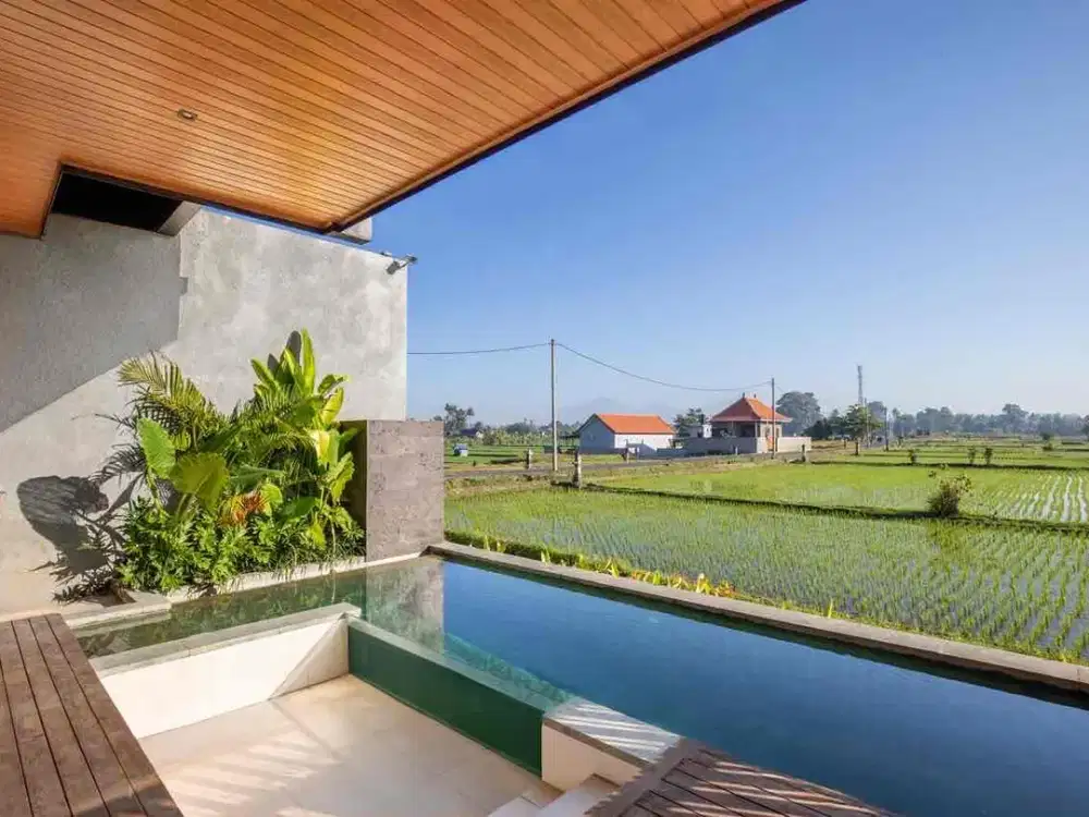 2 luxury villa Ubud rice field view