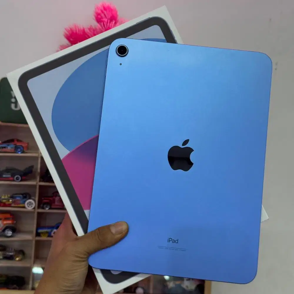 Ipad 10 biru 256gb wifi only second mulus