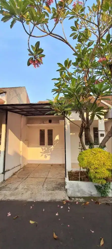 RUMAH KOMPLEK STRATEGIS CONDET - ALBA RESIDENCE DISEWAKAN TAHUNAN