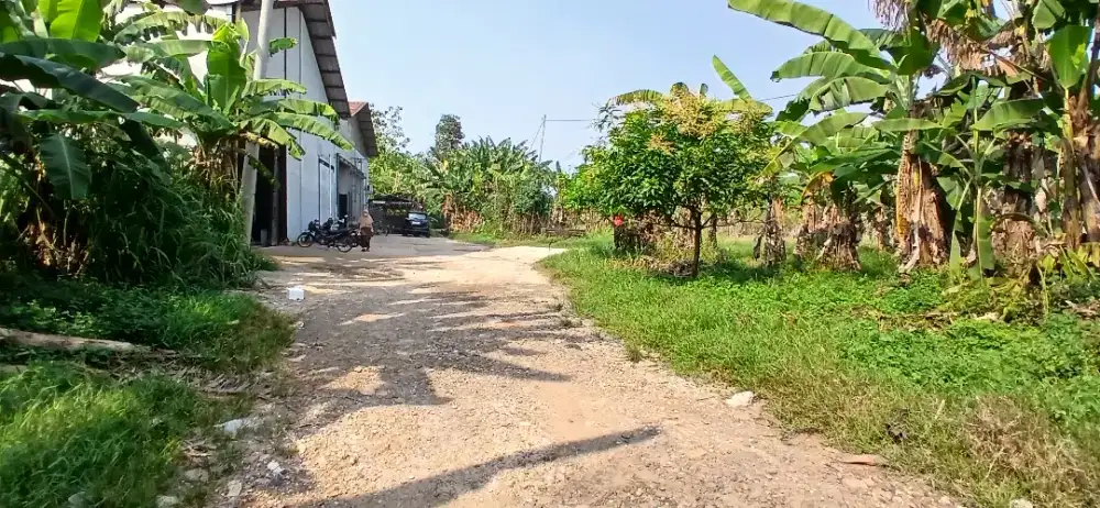 Tanah  murah SHM  buat  gudang  bogor  gunungsindur