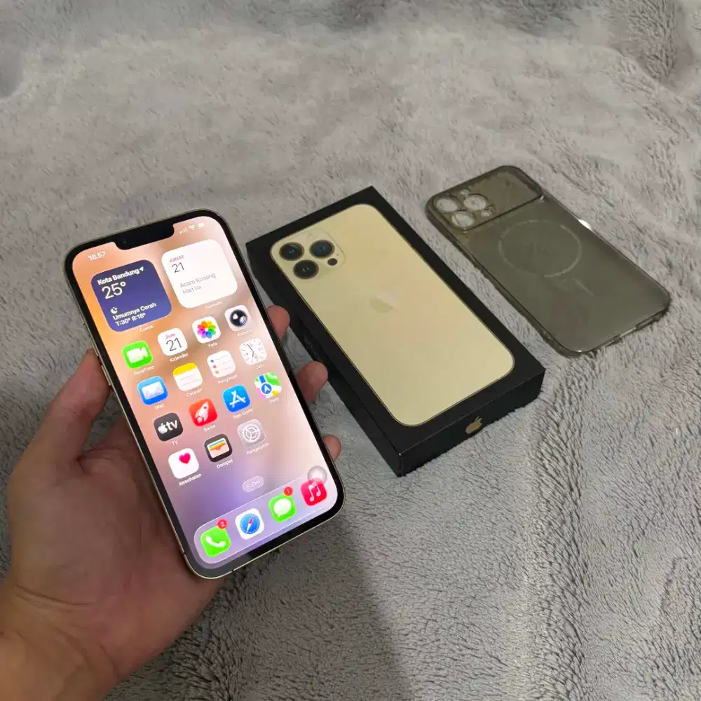 IPhone 13 Promax 512 GB All Operator