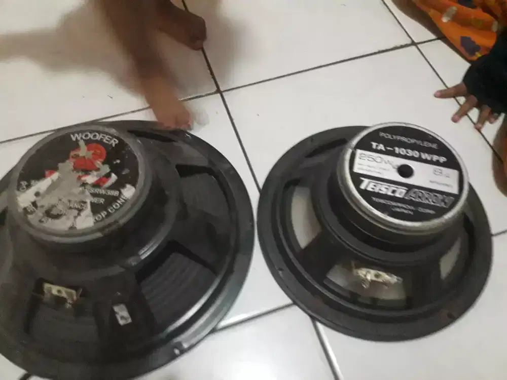 Speaker 10 dan 12 in sesuai poto