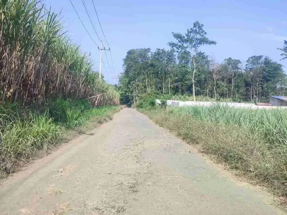 Dijual Tanah Zona kuning di Bondowoso