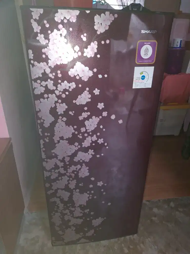 Kulkas Sharp 1 pintu