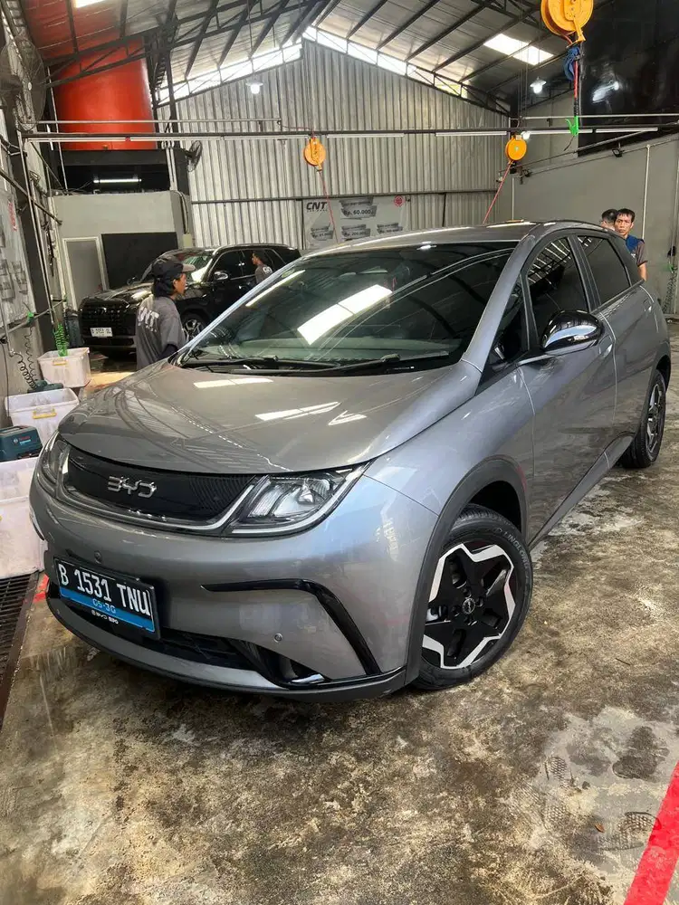 BYD Dolphin Dynamic 2025