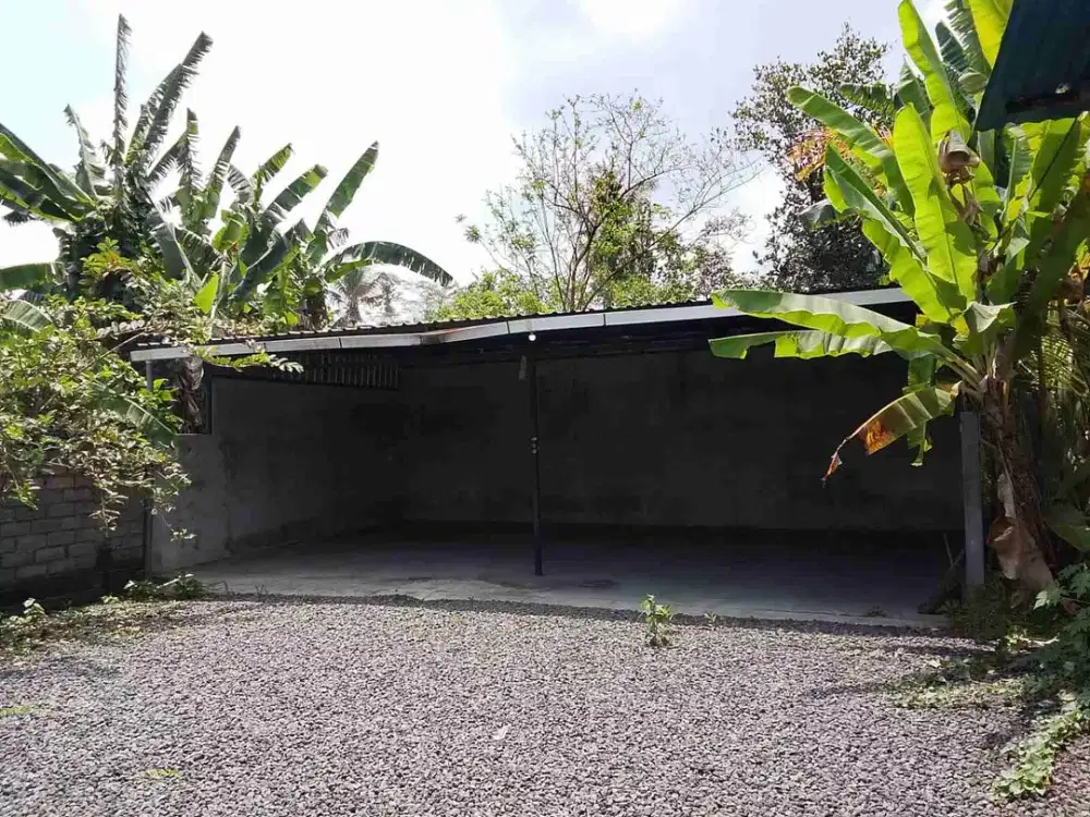 jual tanah murah lokasi di kerambitan.lt 2 are hrg global 650