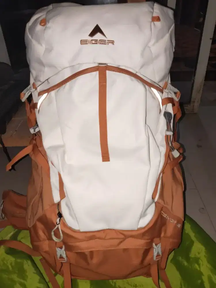 Eiger Ecosavior 45L