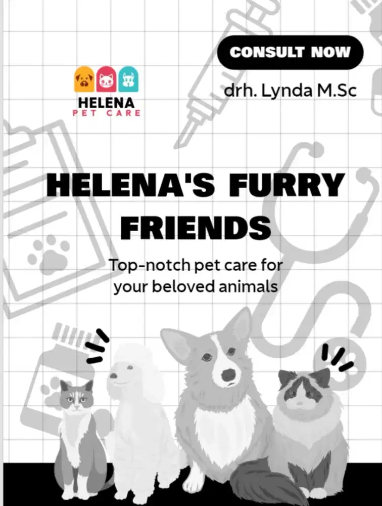 Pet Care - Pet Clinic - Pet Sitter