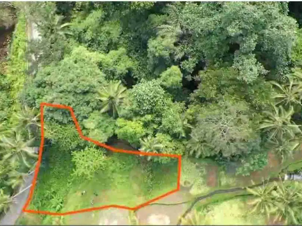 Tanah Murah Los Sungai Zona Kenderan Tegalalang Ubud Bali
