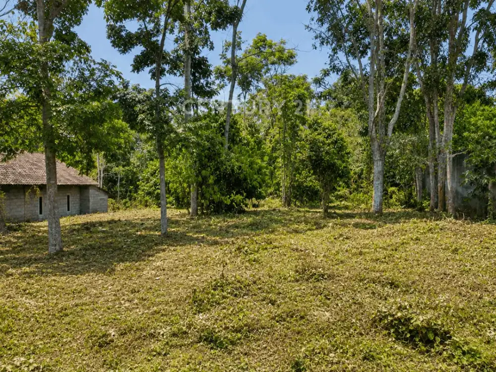 Hidden Gem Di Pakem Untuk Villa Dan Hunian