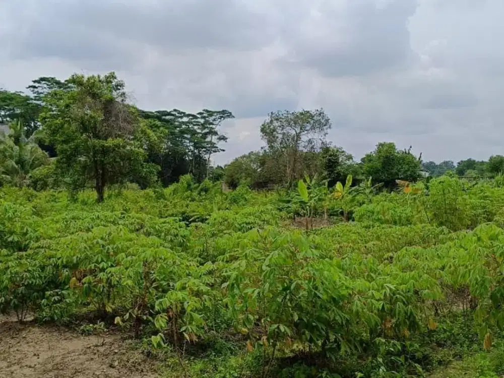 Dijual Lahan Siap Bangun dekat Bandara SMB II Talang betutu Palembang