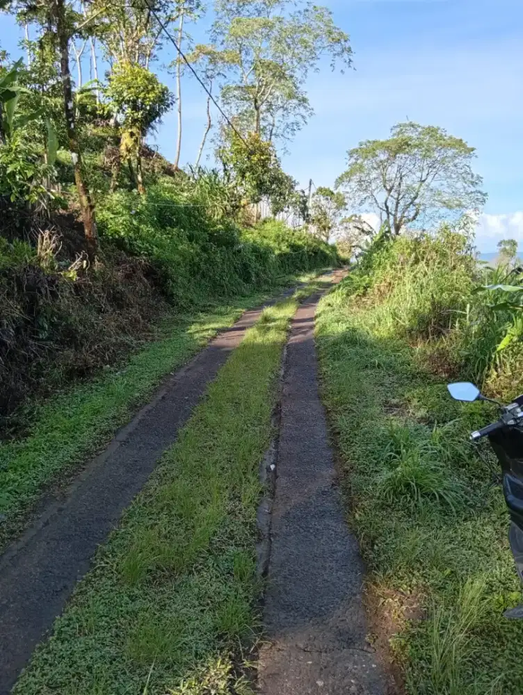 Dijual tanah kebun