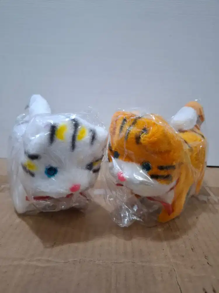 Lowongan kerja Cowok Packing