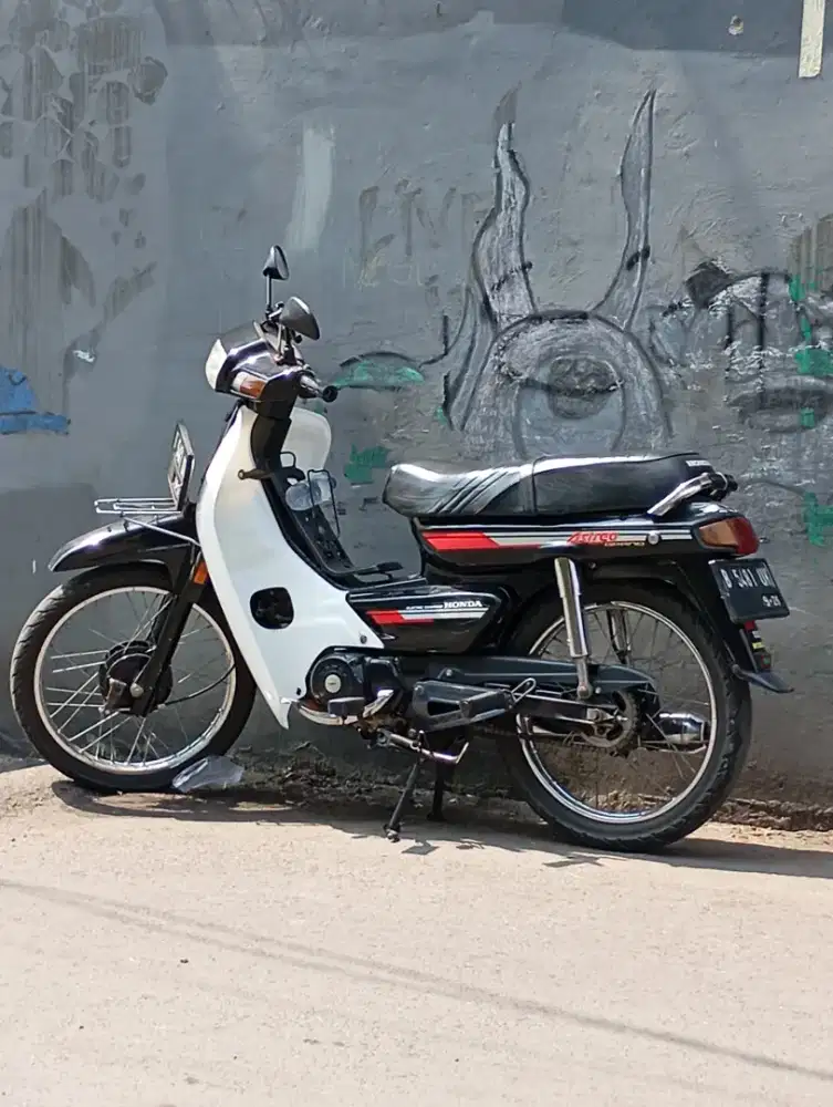 Astrea grand bulus asli